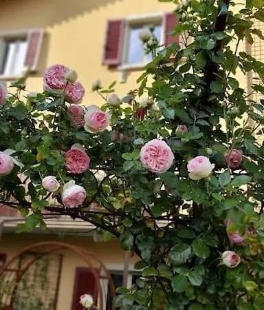 Costanza Con Balcone E Vista Giardino 마그레글리오