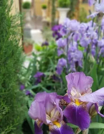 Costanza Con Balcone E Vista Giardino 아파트